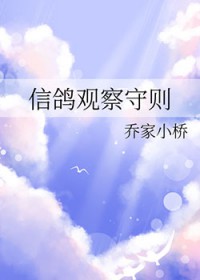 信鸽观察守则
