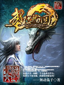 武破轮回